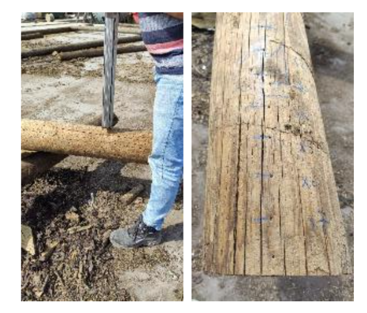 Medições efectuadas com registógtrafo