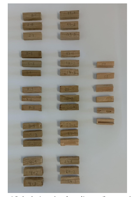 Provetes após 4 semanas de exposição às térmitas subterrâneas (R. grassei): provete dos Postes 2, 5, 7, 8 e 9 (primeira coluna); postes 11, 17, 20, 22 e 24 (segunda coluna) e os controlos de pinho bravo não tratado (seis provetes na terceira coluna)