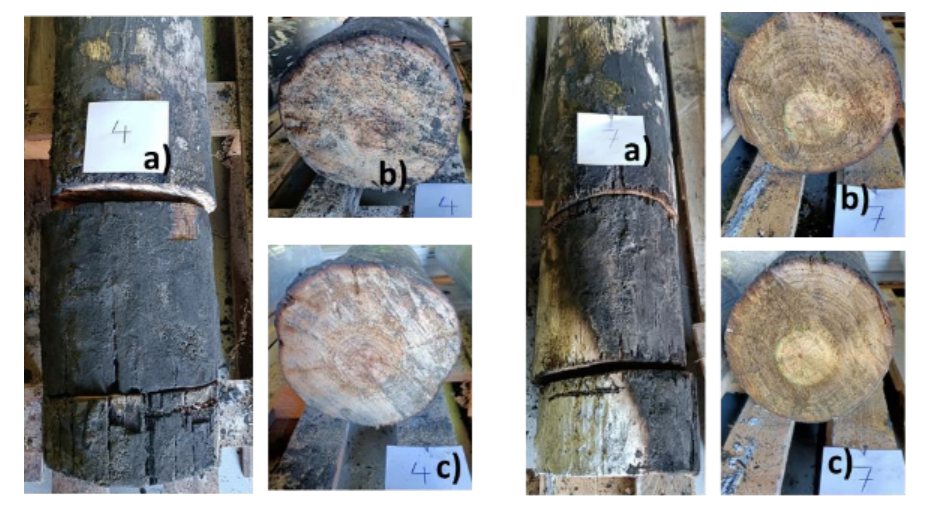 Postes 4 e 7 - ensaiados com proteção tinta intumescente PROMAPAINT